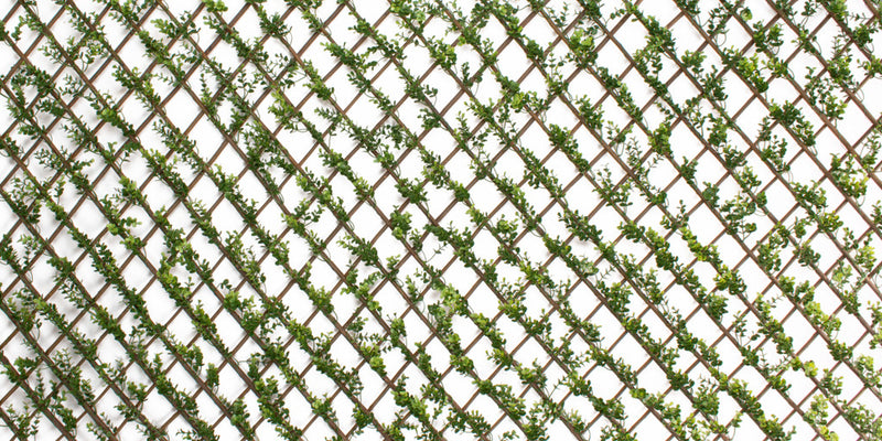 Faux Boxwood Willow Lattice Screen