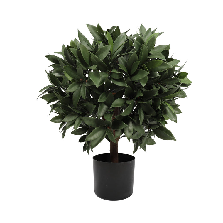 UV Bay Laurel Ball Topiary - 24 Inch