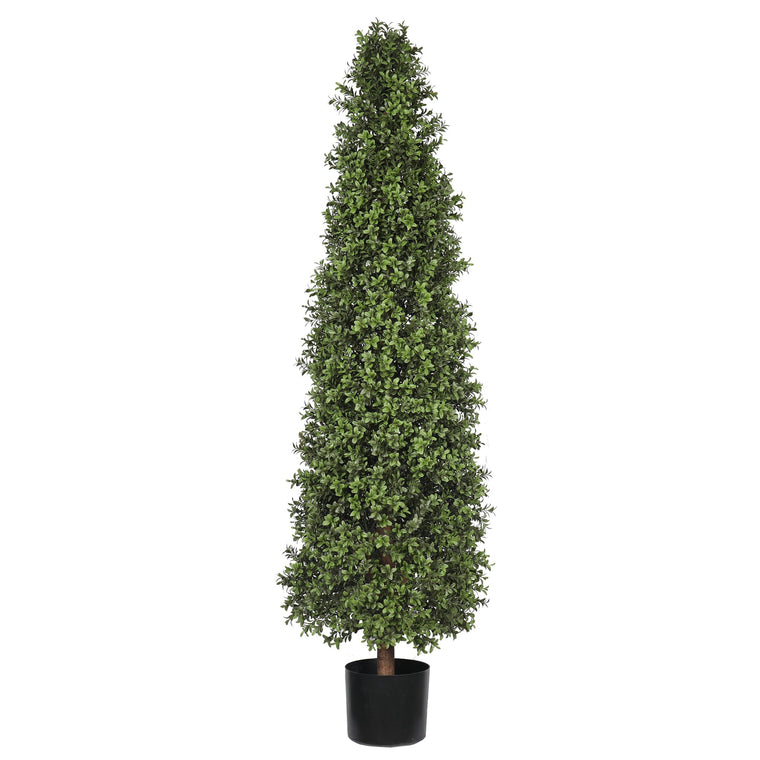 UV Boxwood Cone 59