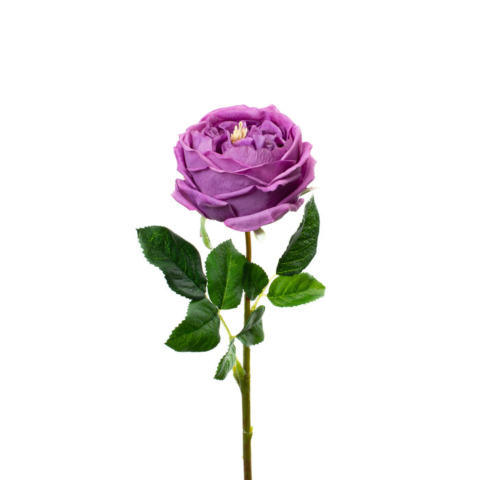 Real Touch Lilac 17" English Rose - Set of 6