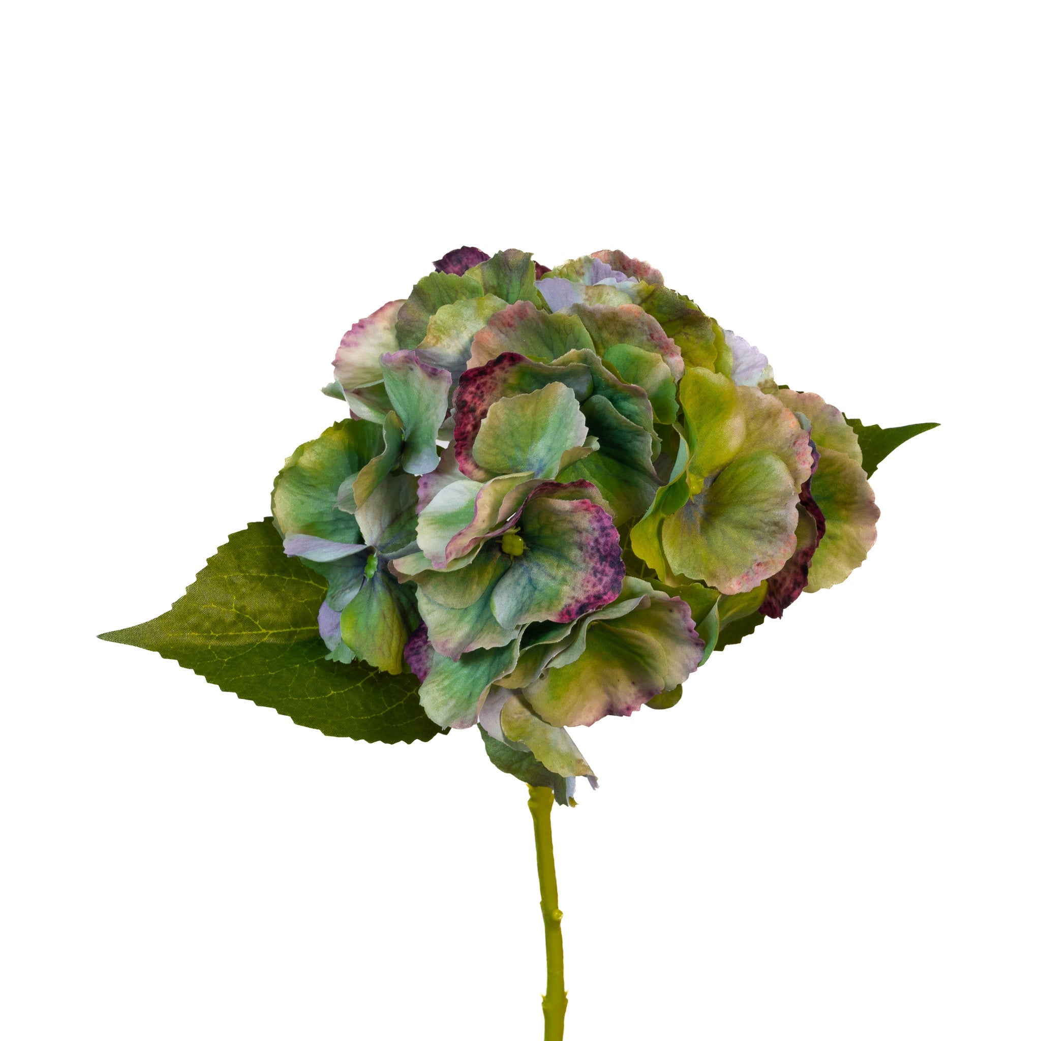 Real Touch Hydrangea - Antique Green - 6 Inch X 14 Inch