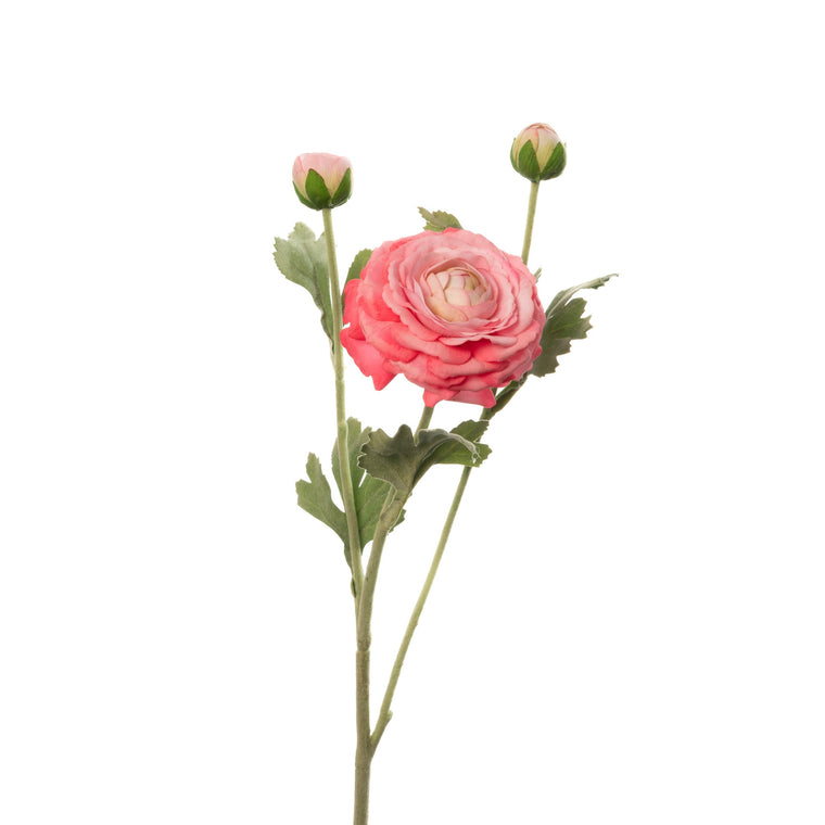 Real Touch Ranunculus - Fuchsia