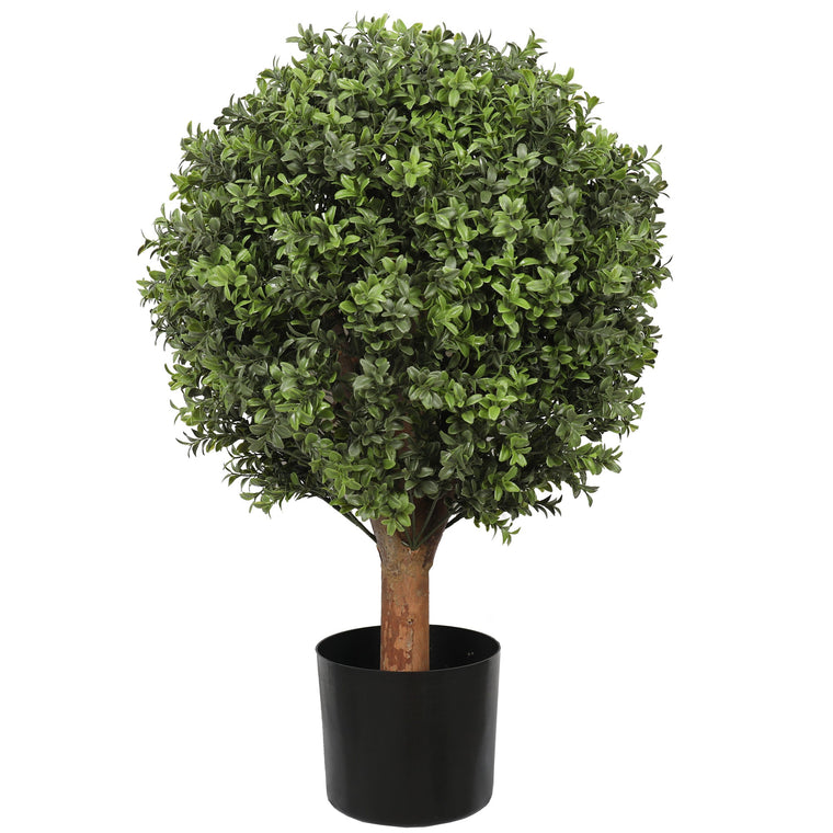 UV Boxwood Ball 20 X 30