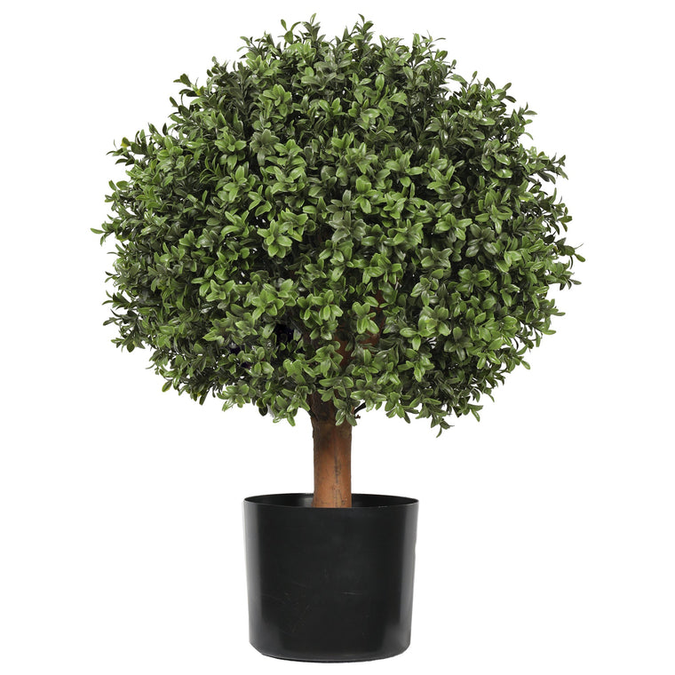 UV Boxwood Ball 16 X 25