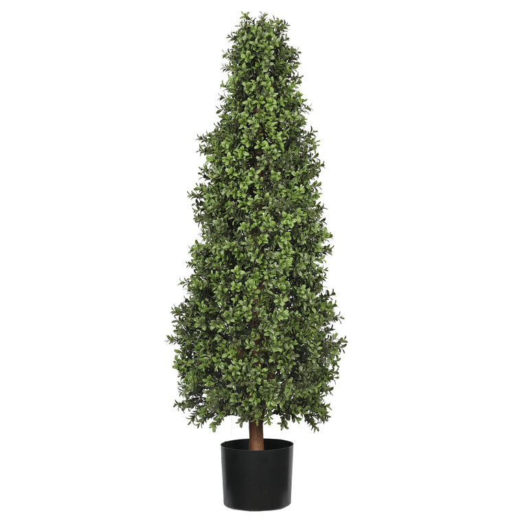 UV Boxwood Cone 48