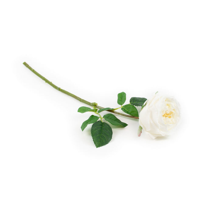 Real Touch White 17" English Rose - Set of 6