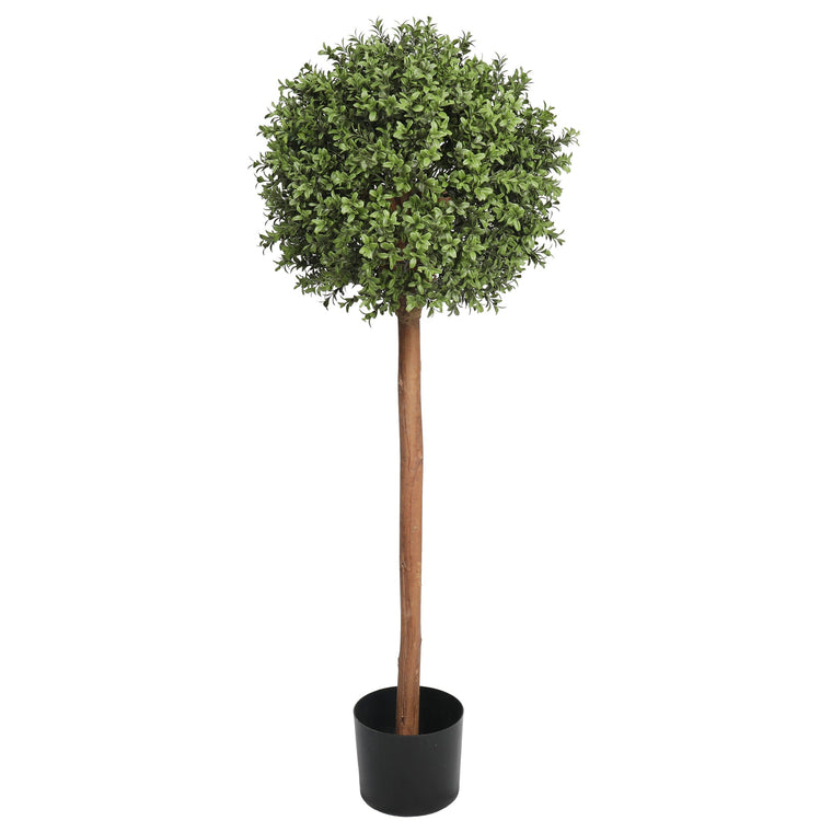 UV Boxwood Ball Tree 16 X 48