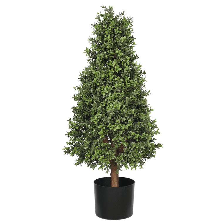 UV Boxwood Cone 36