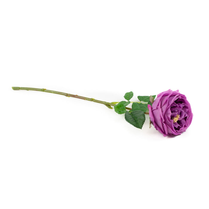 Real Touch Lilac 17" English Rose - Set of 6